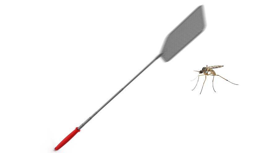 Virginian Mosquito about to get Swatted