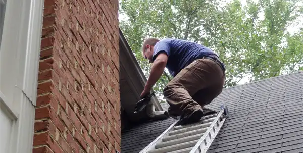 A technician fixing damage caused by squirrels in the chimney