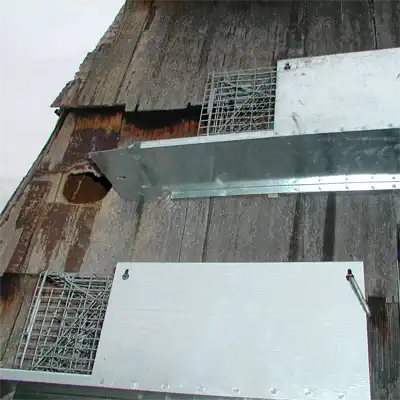 Squirrel Trap set up near the entrance to the roof